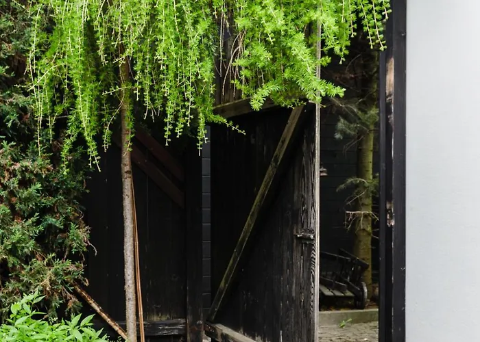 Pod Bocianem Apartament